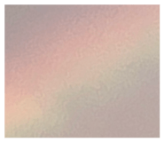 841709704