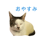 841709801