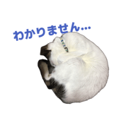 841709802