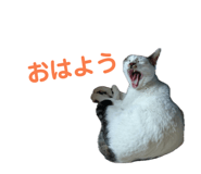 841709803