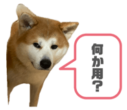 841709996
