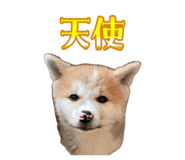 841709997
