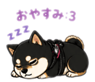 841710164