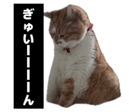 841710666