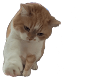 841710687