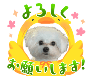841711272
