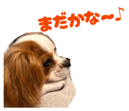 841711491
