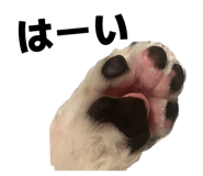 841711492