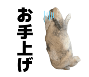 841712160