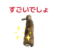 841712167