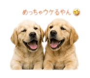 841712329