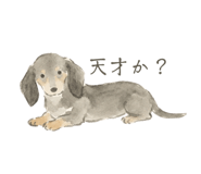 841712829