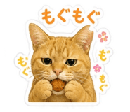 841713126