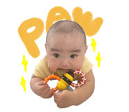 841713148