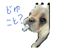 841713298