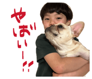 841713317