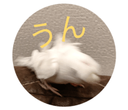 841713623