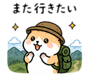 841713807