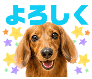 841713823