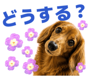 841713836