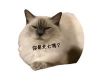 841714036