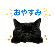 841714120