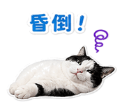 841714363