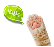 841714694