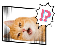 841714698