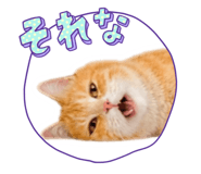 841714699
