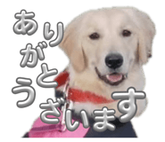 841714766