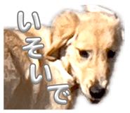 841714768