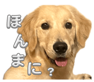 841714775