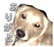 841714782