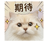 841715412