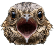 841715956