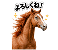 841716287