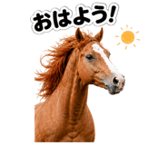 841716291