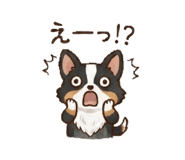 841716938