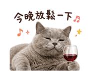 841717191