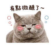 841717192