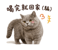 841717209