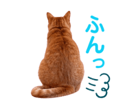 841717311