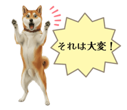 841717401