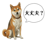 841717405