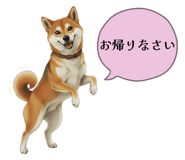 841717406