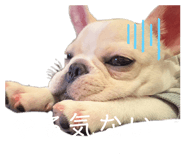 841717844