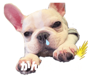 841717851