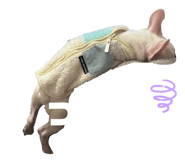 841717852