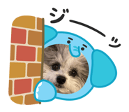 841717864